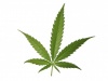 Phdthc68210's Avatar