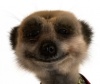 Alastair666's Avatar