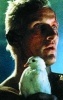 FrederickClegg's Avatar