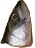 fishhead's Avatar