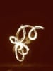 delsolfire's Avatar