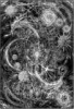 yogsothoth's Avatar