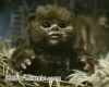 Averiado's Avatar