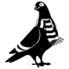 mrcomeon's Avatar